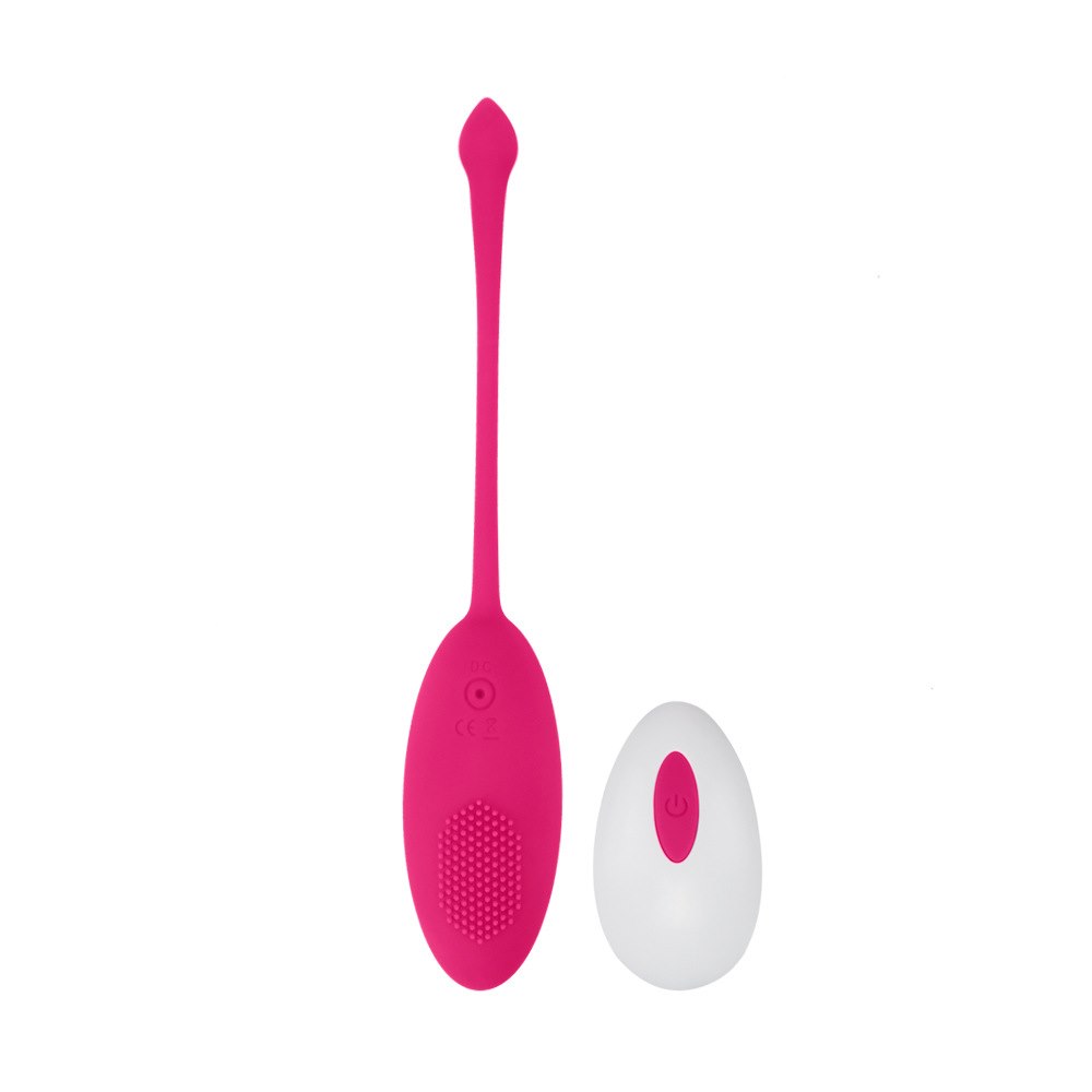 VIBRATOR EGG  KATE REMOTE CONTROL DARK PINK PASSION LABS