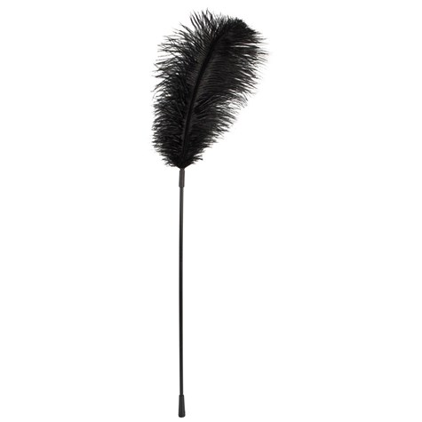 BLACK FEATHER BAD KITTY