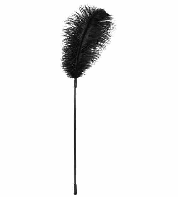 PIÓRKO BLACK FEATHER BAD KITTY