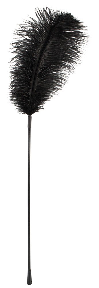 PIÓRKO BLACK FEATHER BAD KITTY