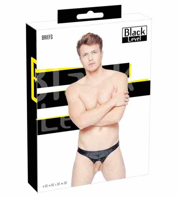 BRIEFS