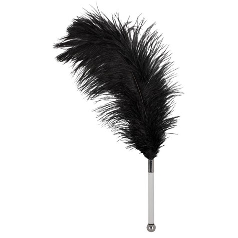 FEATHER BLACK ACRYLIC