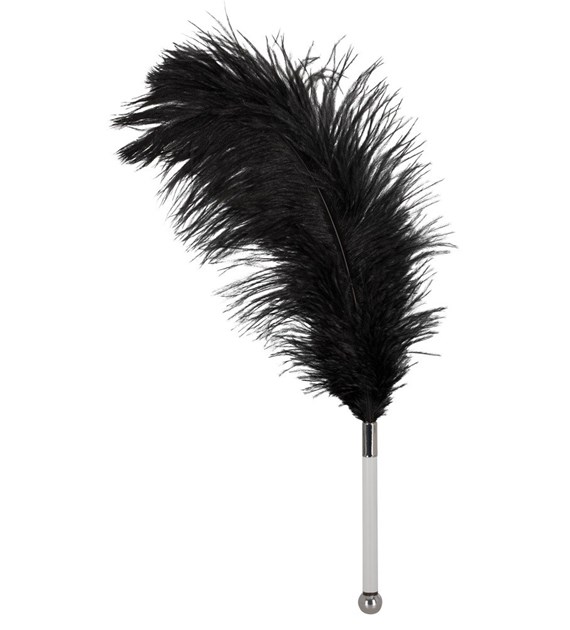 FEATHER BLACK ACRYLIC