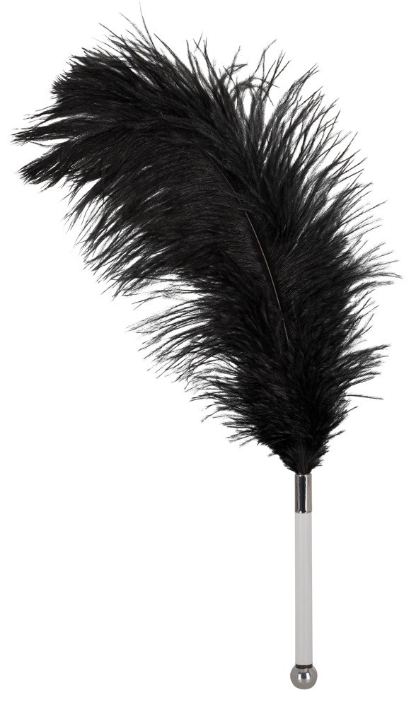 FEATHER BLACK ACRYLIC