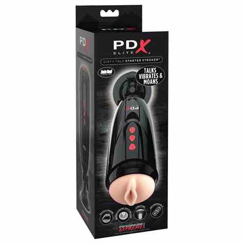 Dirty Talk Starter Stroker