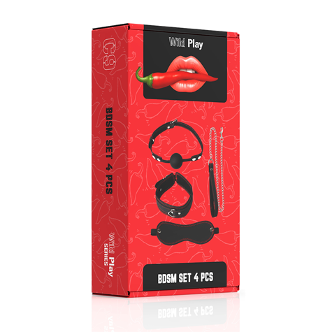 BDSM SET WITH 4 PRODUCTS EROSPACE WILD PLAY C9