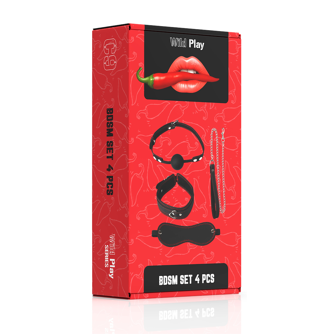 ZESTAW BDSM 4 PRODUKTÓW EROSPACE WILD PLAY C9