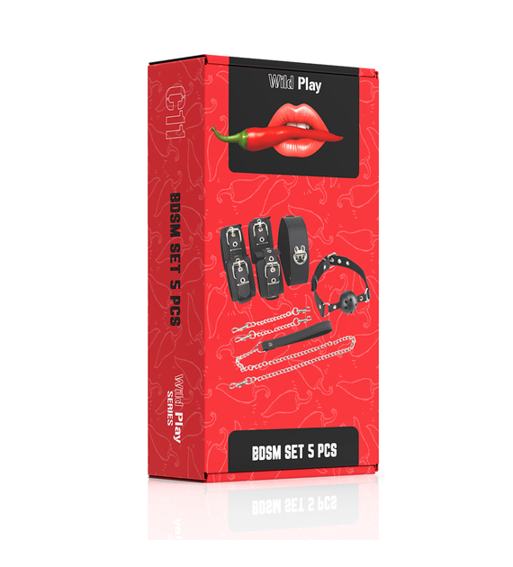 ZESTAW BDSM 5 PRODUKTÓW EROSPACE WILD PLAY C11