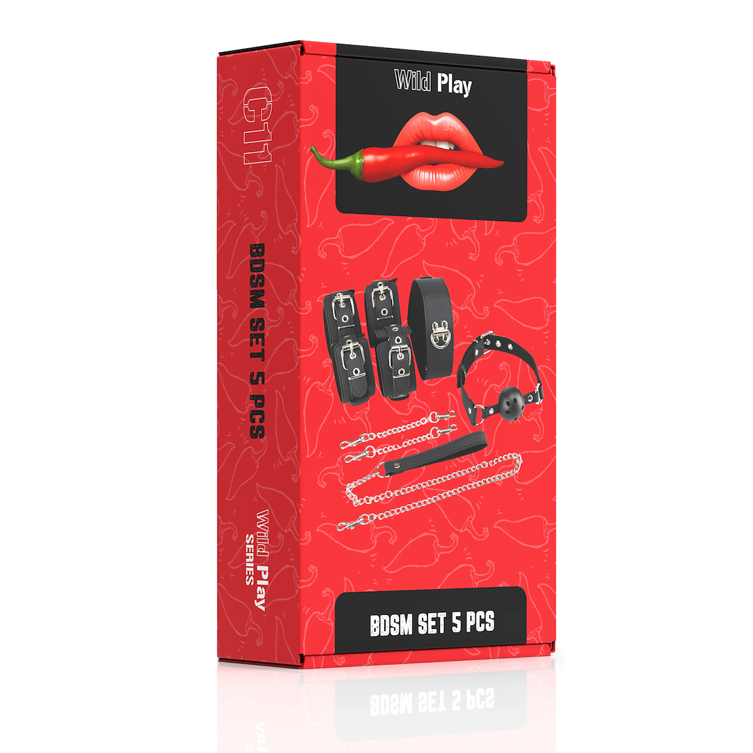 ZESTAW BDSM 5 PRODUKTÓW EROSPACE WILD PLAY C11